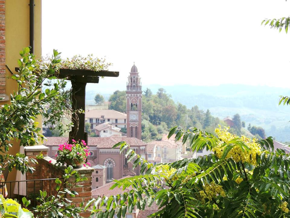 monforte5